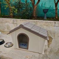 casetta cuccia cane gatto
