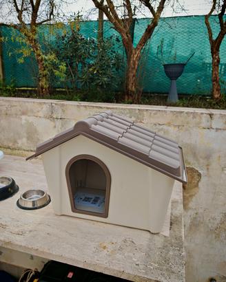 casetta cuccia cane gatto