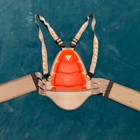 Paraschiena moto Dainese