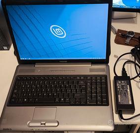 Toshiba Satellite Pro P300 17"