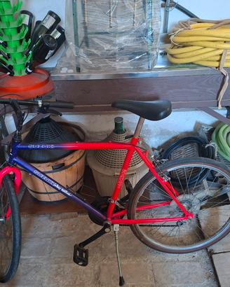 mountanbike