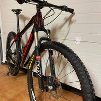 mtb Focus Raven 29 in carbonio