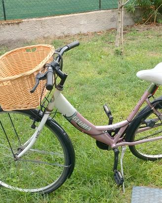 Bicicletta ragazza o donna 26