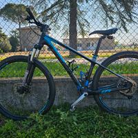 MTB Focus Raven 29"