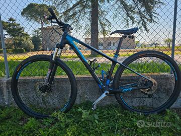 MTB Focus Raven 29"