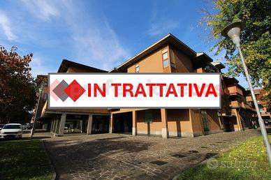 Appartamento Trezzo sull'Adda [4loctrezVRG]