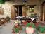 Immagine 10