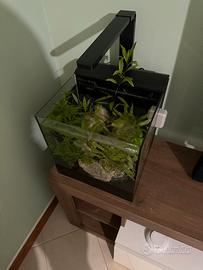 Acquario completo