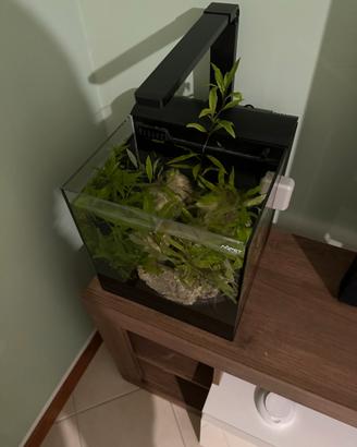 Acquario completo