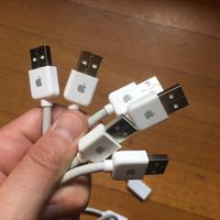 Cavo prolunga USB Apple