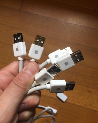 Cavo prolunga USB Apple