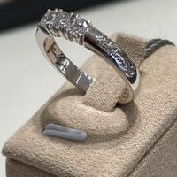 Anello trilogy salvini
