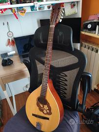 Bouzouki Irlandese Elettrificato Hora