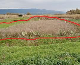 Terreno agricolo - san vero milis (or)