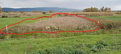 Terreno agricolo - san vero milis (or)