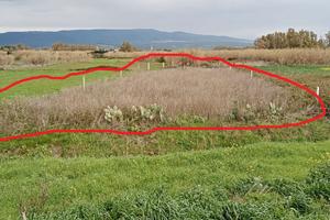 Terreno agricolo - san vero milis (or)