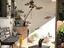 Immagine 19