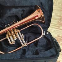 Comet Flicorno Soprano Phosphor Copper