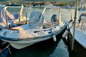 GRUPPO MARE PHOLAS 18 NO MOTORE