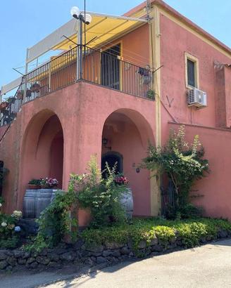 Rustico / Casale di 550 m² con più di 5 locali e b