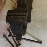 Morsa da banco