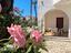 Immagine 16