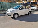 fiat-panda-1-2-easy