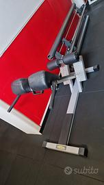 Panca hiperextention technogym