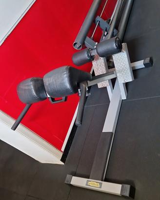 Panca hiperextention technogym