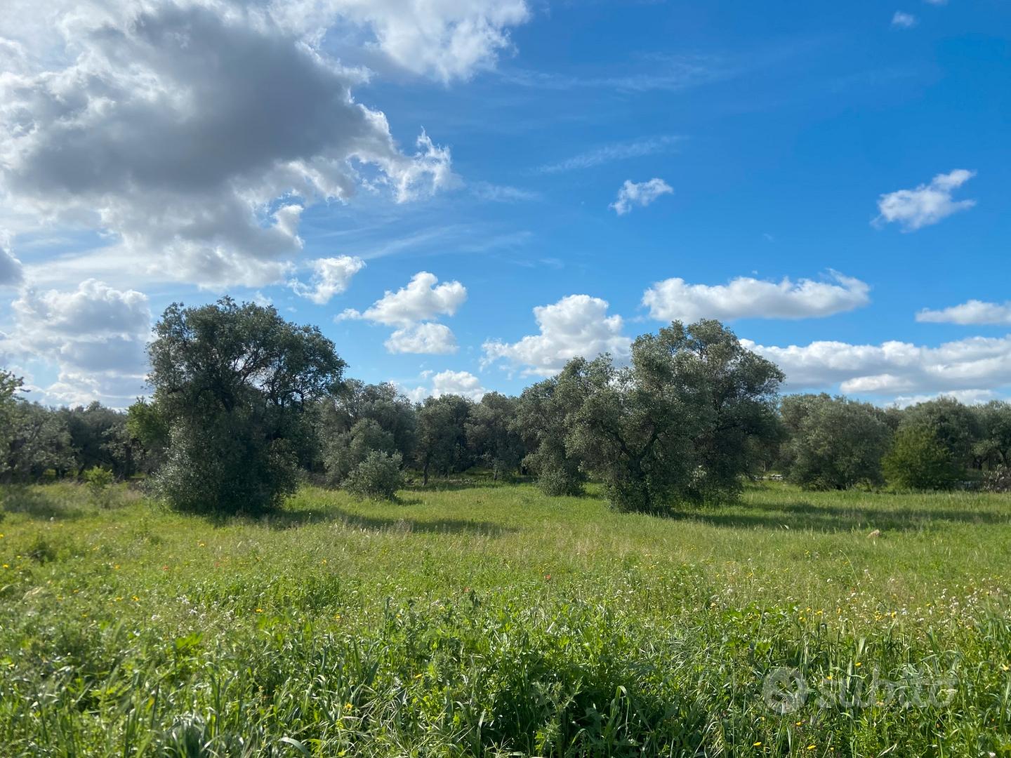 Torre a Mare- Terreno 850 mq - Vista 3