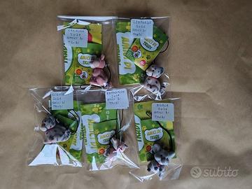 Amici di trudy tigros 2026 - 6° ediz. lotto 5 pers