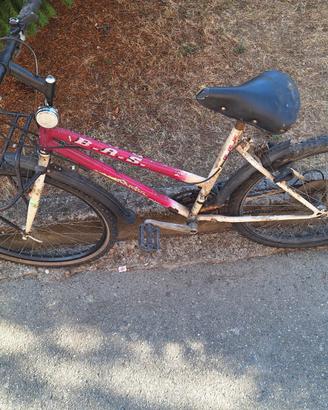 Bici 26 pollici