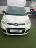 fiat-panda-1-0-gse-s-s-hybrid-pop-van-2-posti