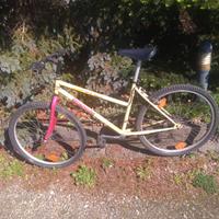 Bicicletta Bianchi off road