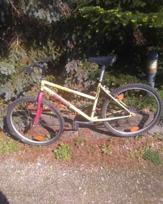 Bicicletta Bianchi off road