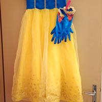 Vestiti Carnevale 