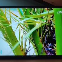 Tv led Samsung UE32H4000AW