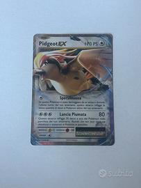 Carte pokemon Pidgeot EX