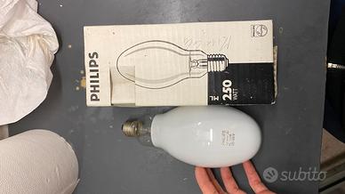 Lampadina Philips ML 250W