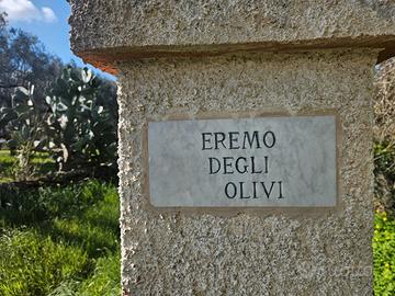 Tenuta con fabbricato e 10 ettari di uliveto