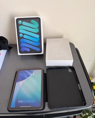 Ipad Mini 7