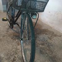 Bicicletta da donna San Marco