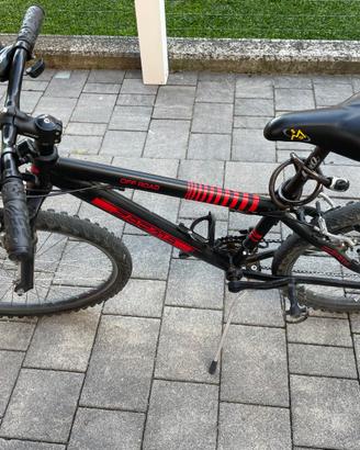 Bicicletta Zarma 24