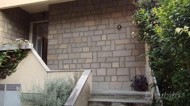 Camere in casa con giardino, zona universitaria