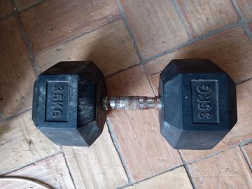 manubrio 35 kg