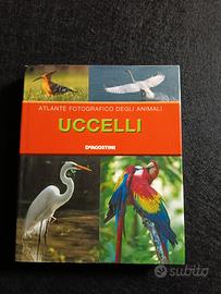 atlante fotografico degli animali UCCELLI