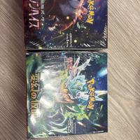 Box da 30 bustine giapponesi