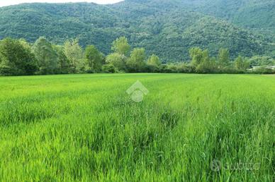 TER. AGRICOLO A REVINE LAGO