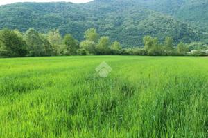 TER. AGRICOLO A TARZO
