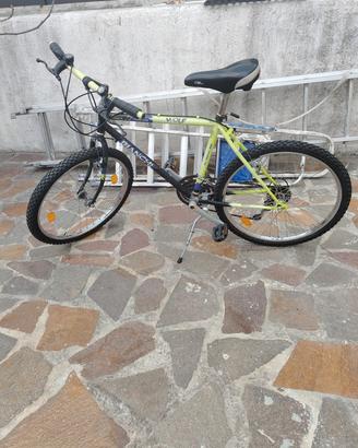 bicicletta 24